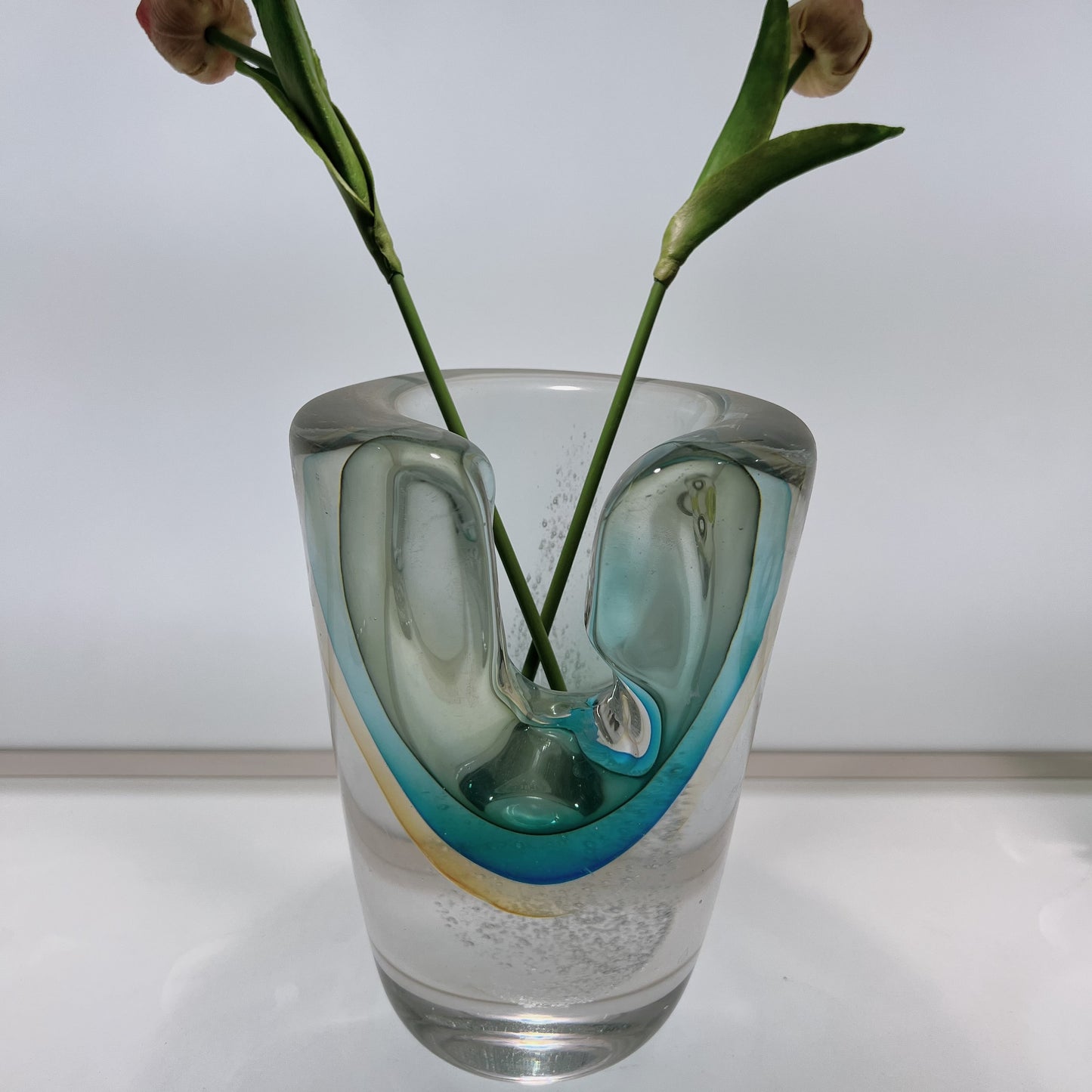 Clear glass vase with a unique design holding two stems against a white background