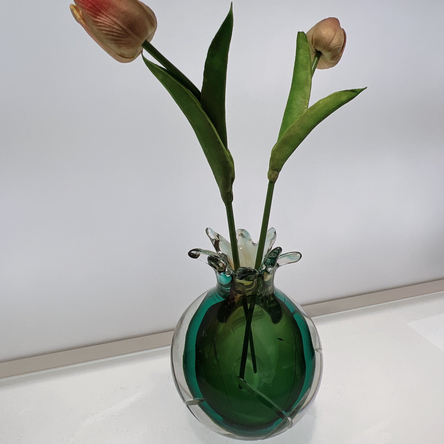 Clear glass vase with green interior holding tulips on a white surface.