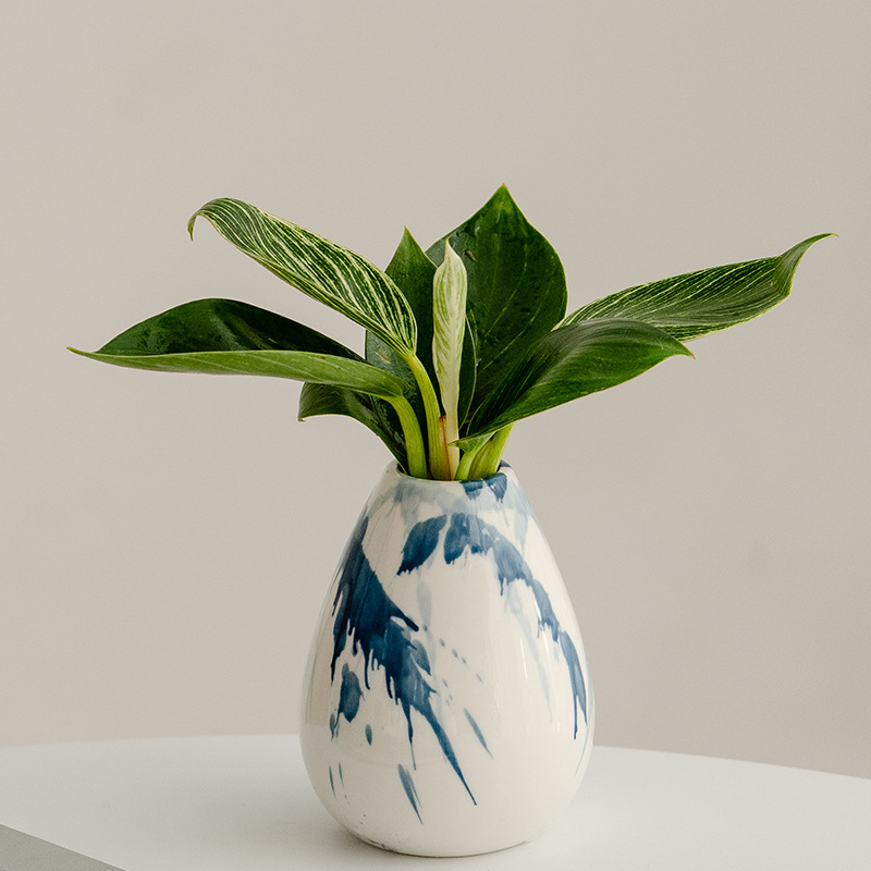 White vase with blue abstract patterns containing a green leafy plant on a neutral background