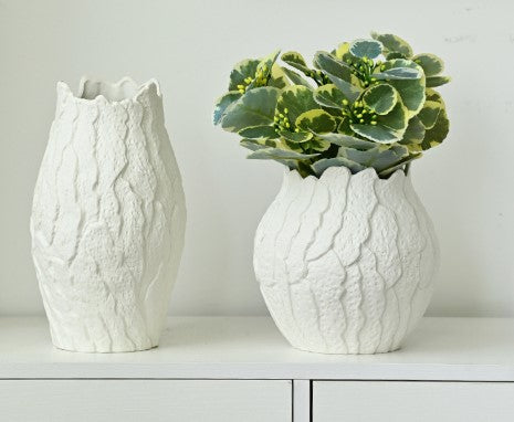 Two white textured vases with a green plant on a light background