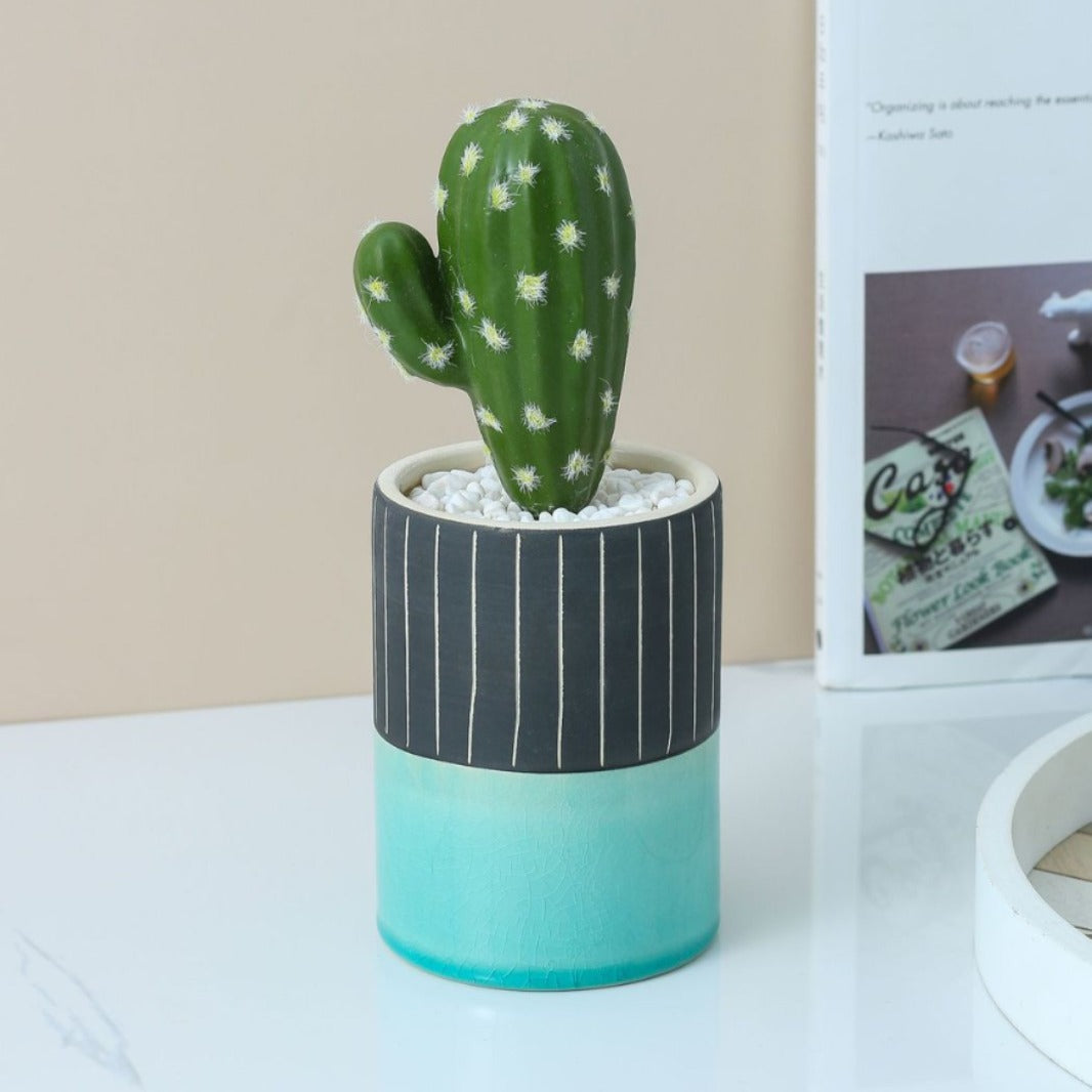 Cactus in a pot with a black and teal design on a white surface.