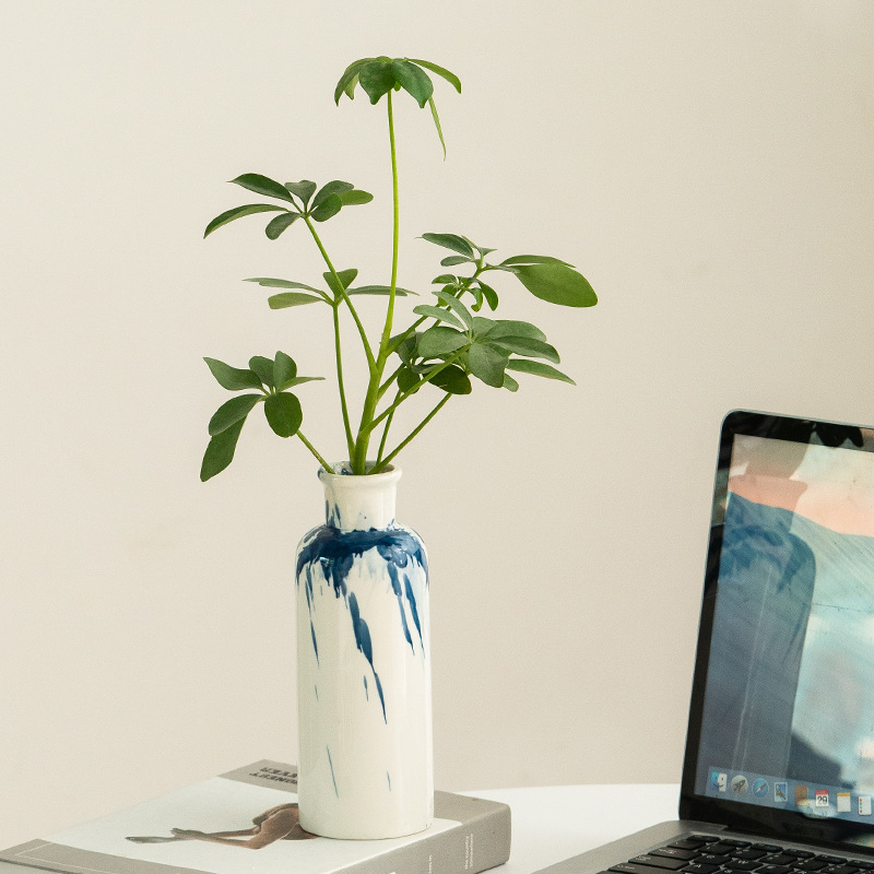 Vase with plant next to a laptop on a light surface