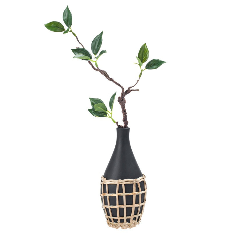 Black vase with woven base and green plant on a white background