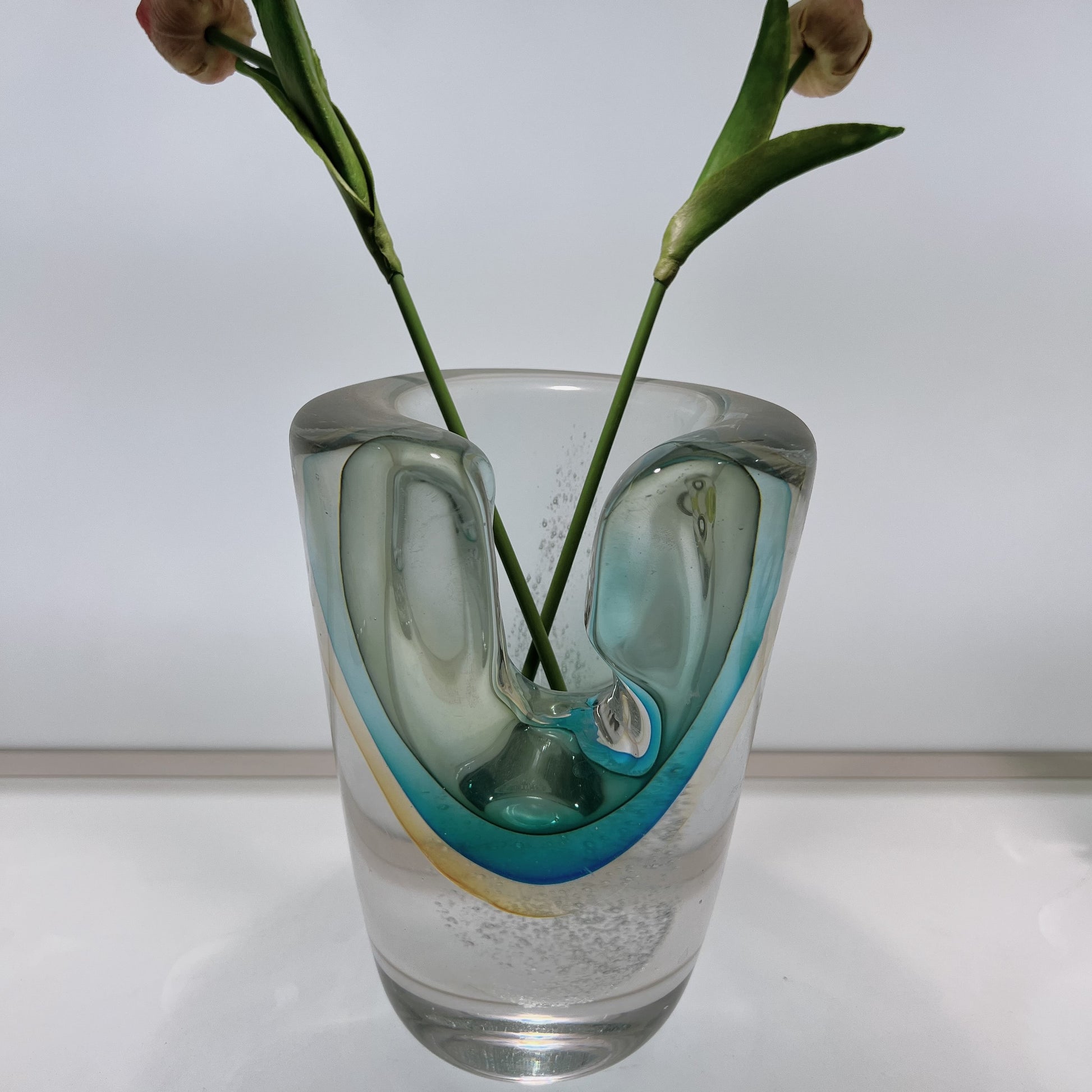 Clear glass vase with a unique design holding two stems against a white background